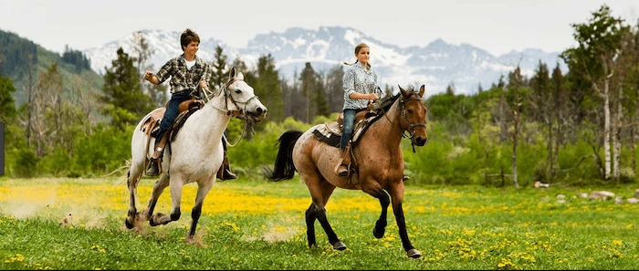 Confident plus-size woman riding High Wycombe a horse through a field with a smile on her face.